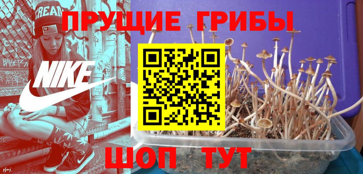 Псилоцибиновые грибы мухоморы Бийск